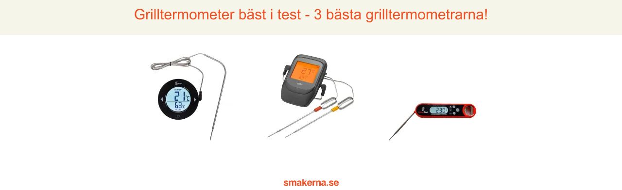 Grilltermometer bäst i test