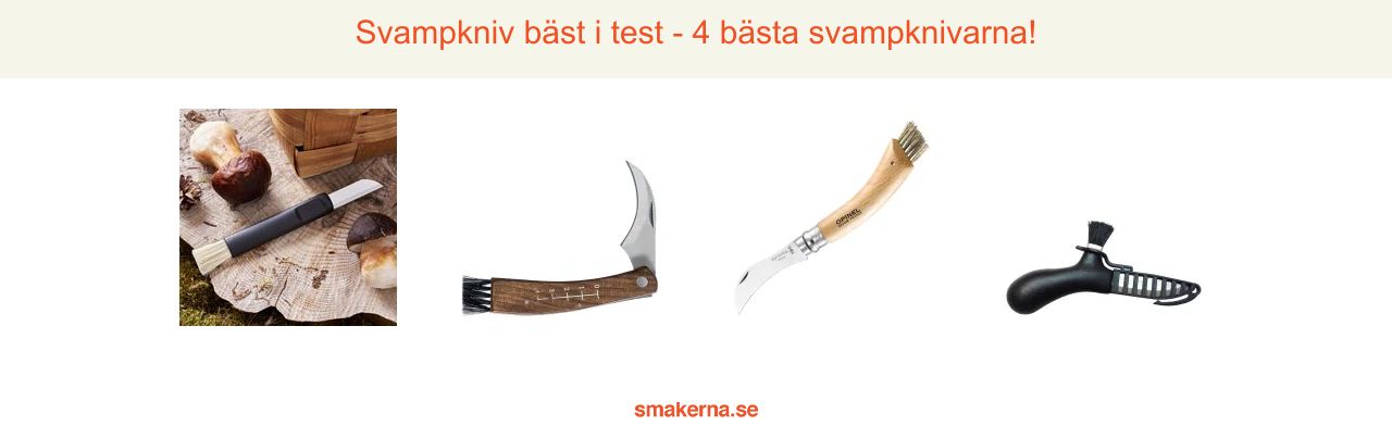 Svampkniv bäst i test